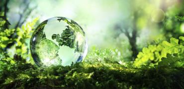 Green economy: cos'è e quali vantaggi ha per la nostra economia 