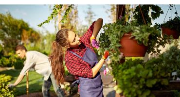 CURA IL TUO GIARDINO E RISPARMIA ENERGIA